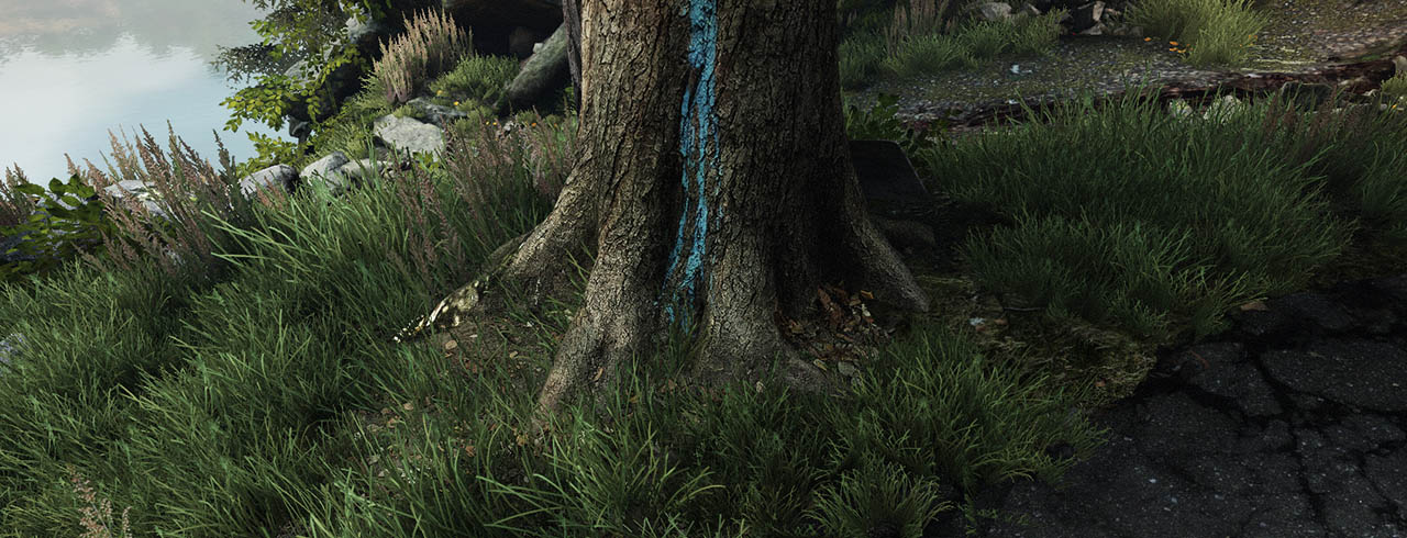 The Vanishing of Ethan Carter - Wikipedia